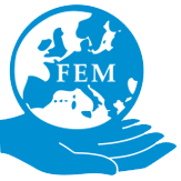 FEM