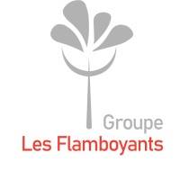 groupe_les_flamboyants_logo